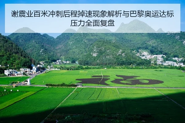 谢震业百米冲刺后程掉速现象解析与巴黎奥运达标压力全面复盘