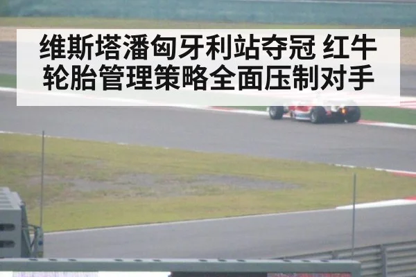 维斯塔潘匈牙利站夺冠 红牛轮胎管理策略全面压制对手