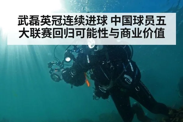 武磊英冠连续进球 中国球员五大联赛回归可能性与商业价值
